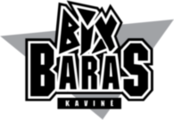 Bix Baras