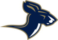 Akron Zips 76041