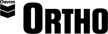 Ortho