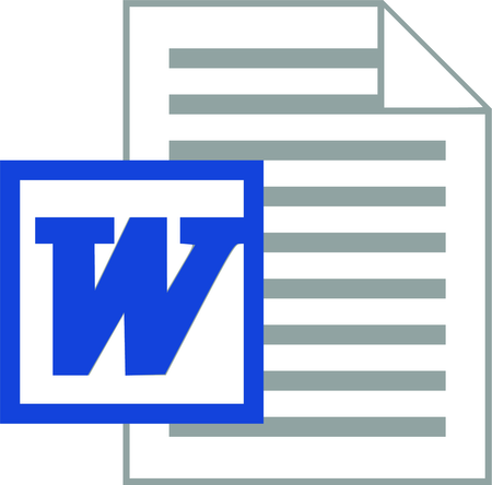 Microsoft Word Doc