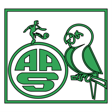 Associacao Atletica Serrana SC