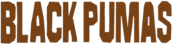 Black Pumas 