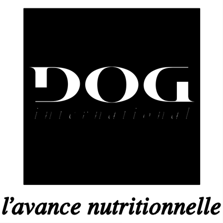 Dog International
