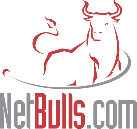 NetBulls com