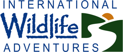 International Wildlife Adventures