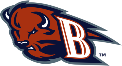 Bucknell Bison 76013