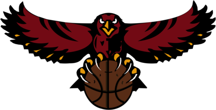 Atlanta Hawks 20487