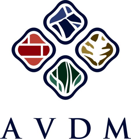 AVDM