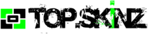 Topskinz