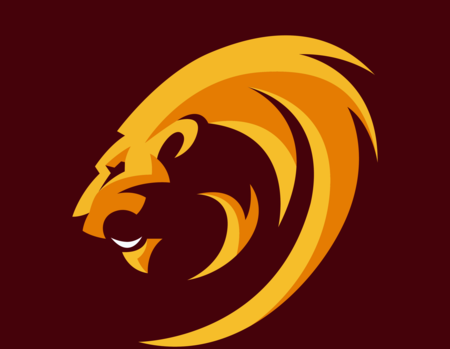 British And Irish Lions