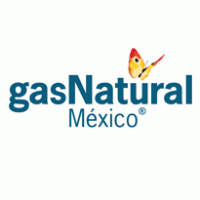 Gas Natural Fenosa