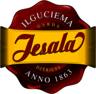 Ilguciema Iesala Dzeriens