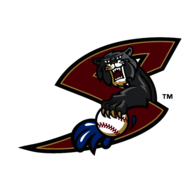 Sacramento River Cats