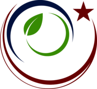 GOP '08 Convention - Green