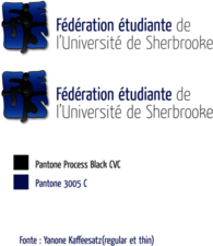 Fédération étudiante de l'Université de Sherbrooke (FEUS)