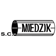Miedzik