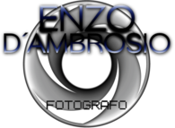 Enzo D´Ambrrosio Fotografo