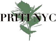 Priti NYC logo green