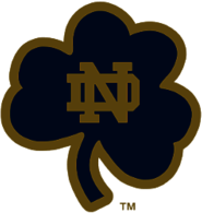 Notre Dame Fighting Irish alternate 