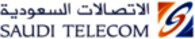 Suadi Telecom (STC)