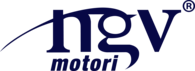 ngv motori