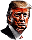 Donald Trump Portrait