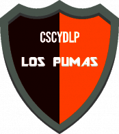 Asociación Club Deportivo, Cultural y Social Barrio Lafinur de Villa Mercedes San Luis