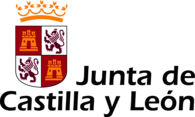 Junta de Castilla y León