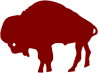 Buffalo Bills