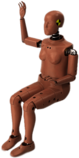 Seated Female Crash Test Dummy