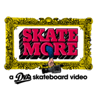 DVS Skate More
