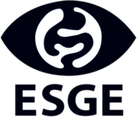 European Society of Gastrointestinal Endoscopy (ESGE)