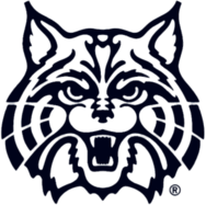 Arizona Wildcats decal