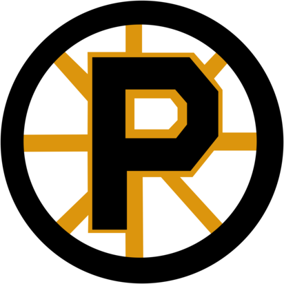 Providence Bruins