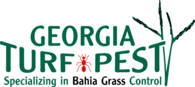 Georgia Turf Pest