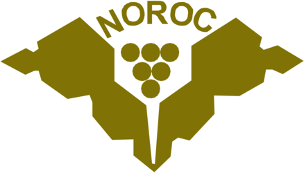 Noroc Moldova