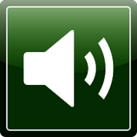 Green Volume Icon
