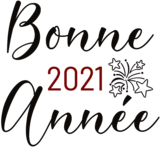 Bonne année 2021 Feu d'Artifice