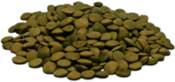 Green Lentils