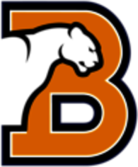 Birmingham-Southern Panthers