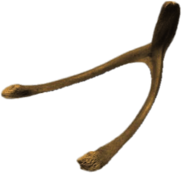 Wishbone Luck Symbol