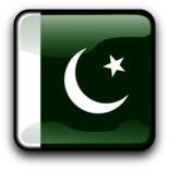 Pakistan Flag Icon