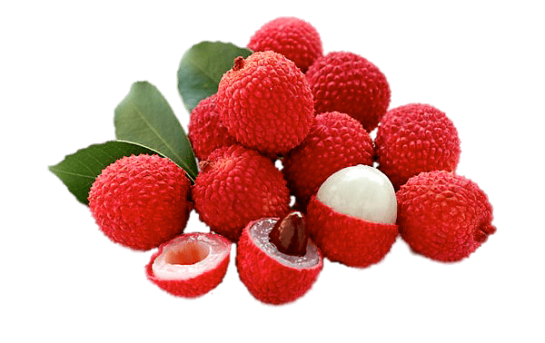 Fresh Lychee Fruit