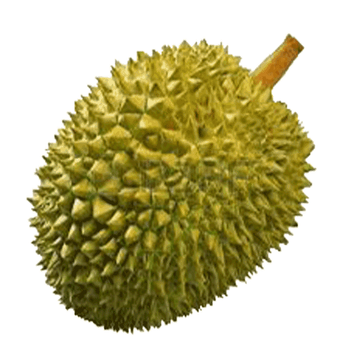 Durian