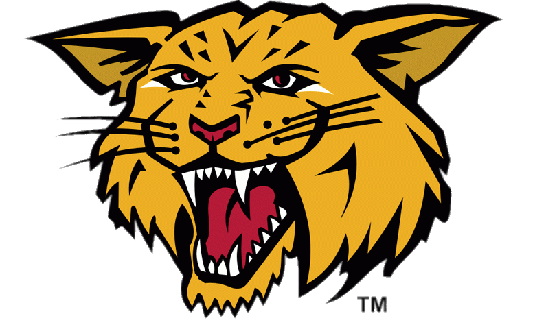 Moncton Wildcats Mascotte