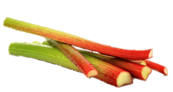 Rhubarb Sticks