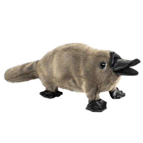 Baby Platypus Hand Puppet