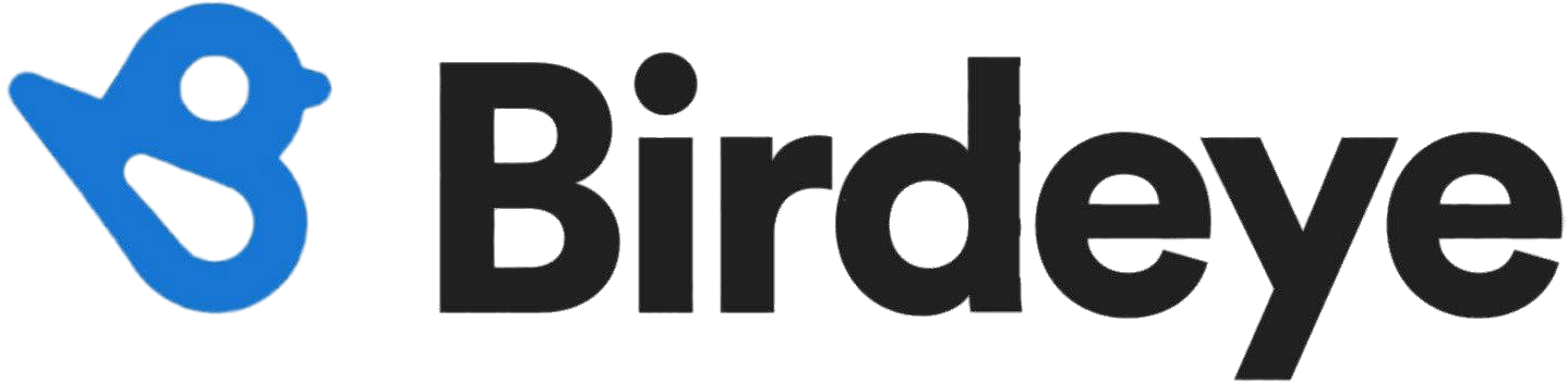 Birdeye logo landscape