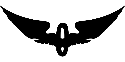 Black Feathered Ring