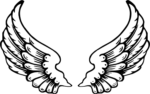 Black and White Feathered Angel Wings Upwards